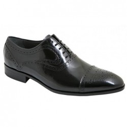 Fenatti Zapato Almansa...
