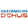 D`CHUS . Anatomicos